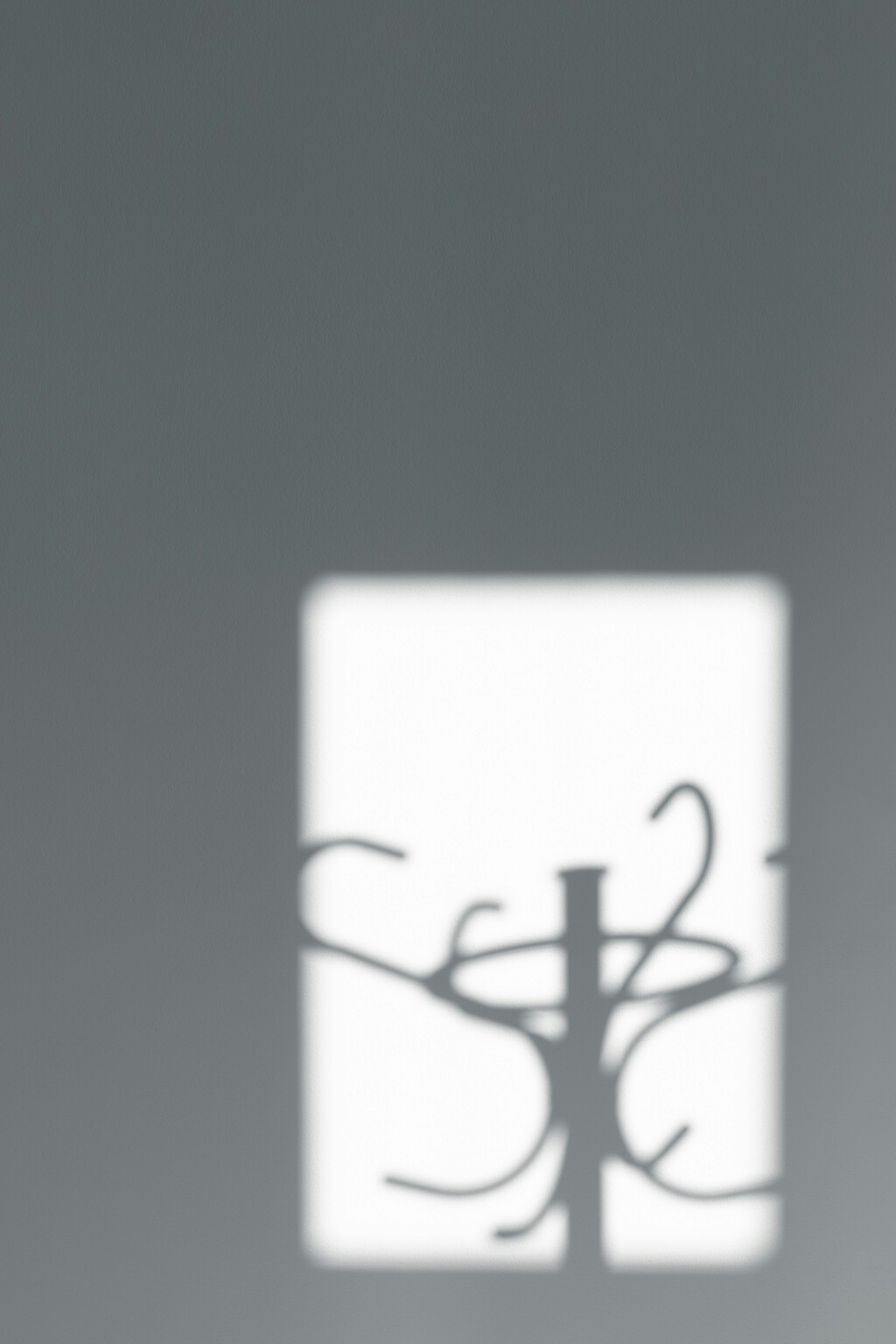 Convertimos las puertas en amplios percheros sin taladros con este invento de Lidl