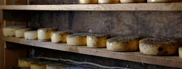 Nova pesquisa derruba a ideia de que “toda gordura saturada é ruim” e mostra que queijo curado pode prevenir Alzheimer 