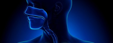 Perder peso, una mejora para el asma en personas obesas