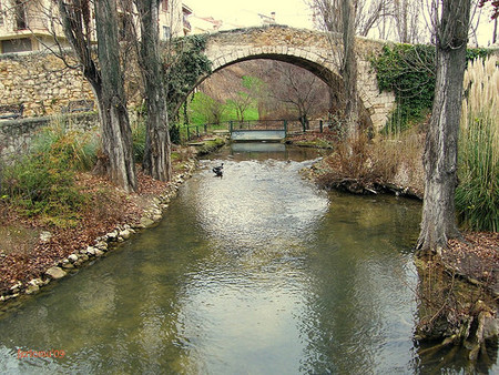 Semana Santa 2009: Entre viñedos y montañas por el sur de Burgos