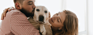 Hemos estado usando a nuestras mascotas para aliviar nuestra ansiedad. Y ahora el estrés se lo están quedando ellas