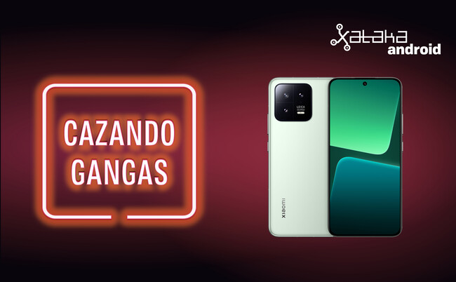 Cazando Gangas