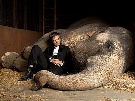 Robert Pattison se rodea de trompas en su nueva película