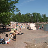 Los veranos son tan cortos en Finlandia que ha aceptado a un invitado para disfrutar de las playas: kilos de caca