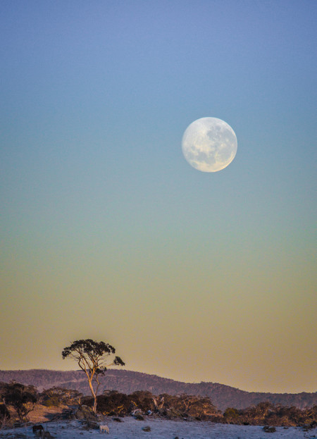 Superluna Australia