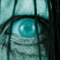 Uno de los primeros videos virales de Internet le pertenece a esta película de los 2000 que fue un éxito en taquilla y dio lugar a una leyenda urbana, The Ring  