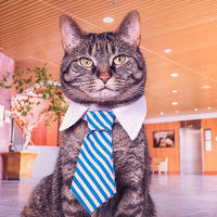 Si la jornada intensiva funciona en verano, ¿por qué no aplicarla todo el año?