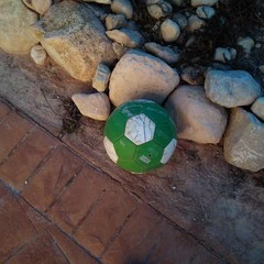 Foto 15 de 20 de la galería wiko-u-feel-prime-2 en Xataka Android