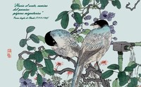 Feria Internacional de Turismo Ornitológico de Extremadura 2014, una cita para los aficionados a las aves 