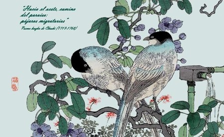 Feria Internacional de Turismo Ornitológico de Extremadura 2014, una cita para los aficionados a las aves 