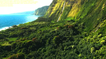 スクリーンショット 2023 06 19 18 03 41 時点