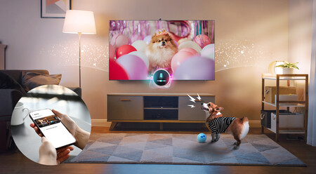 Pet Care