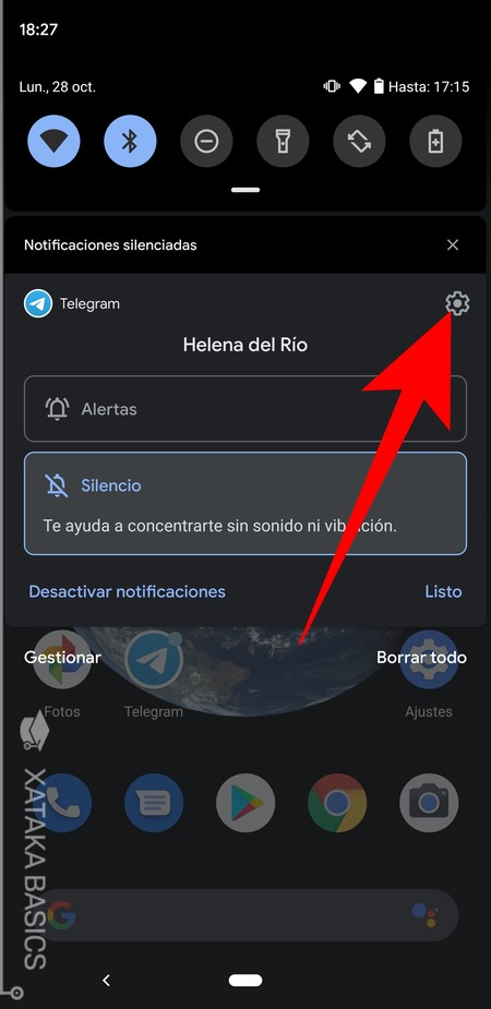 Opciones Notificacion