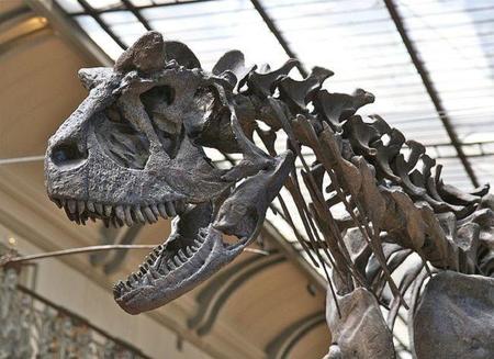 Los primeros dinosauros podrían haber tenido plumas