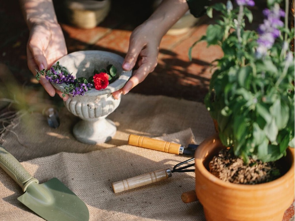 Plántalas en septiembre y tu jardín se llenará de flores durante el invierno: siete especies que conviene sembrar ahora