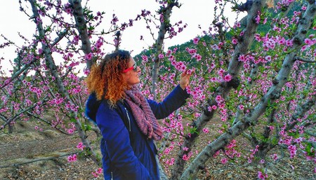 Cieza floración