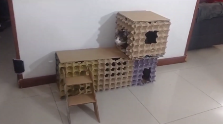 Casa De Gato Cartones De Huevo