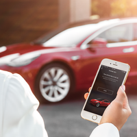 Cientos de conductores de Tesla en todo el mundo acaban de aprender por qué no pueden depender solo de la App para abrir sus coches