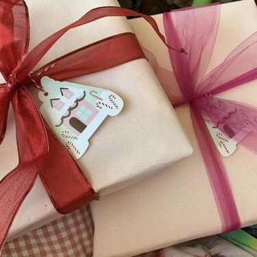 Charlotte Klasing Dupe