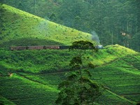 Qué ver en Sri Lanka. Vídeos inspiradores 