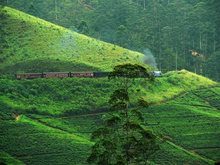 Qué ver en Sri Lanka. Vídeos inspiradores