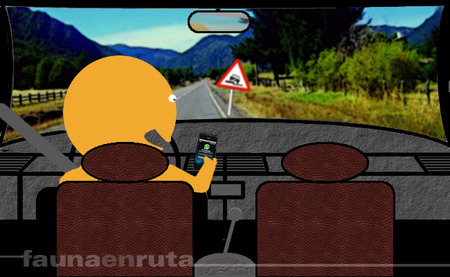 fauna en ruta: banalización del volante