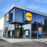 Hoy lunes, 17 de noviembre, llega a Lidl esta planta de Navidad natural, bonita y fácil de cuidar por menos de 8 euros