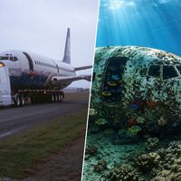 En 2006, lanzaron un Boeing 737 al fondo del Pacífico. 20 años después, la vida marina lo ha convertido en un arrecife artificial