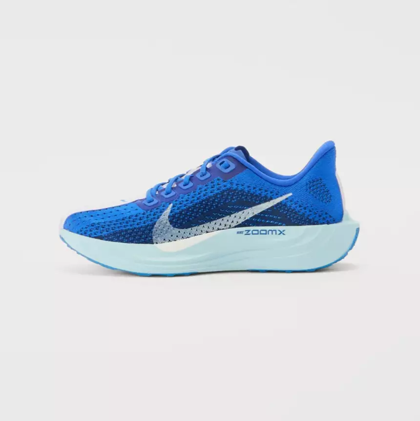Nike Performance
PEGASUS PLUS - Zapatillas - azul
