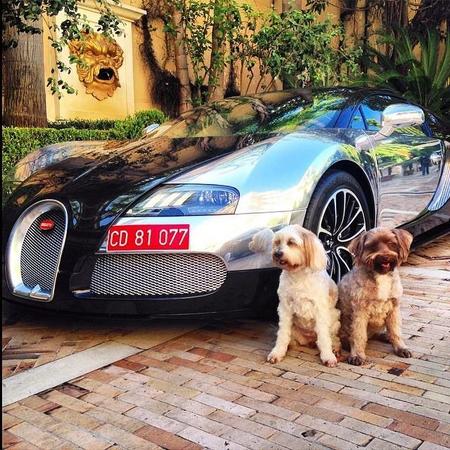 Supercarpups Bugatti Veyron