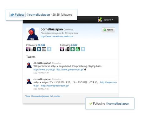 Twitter lanza el botón Follow para poder seguir a usuarios directamente desde cualquier web