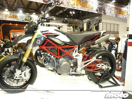 DB10Bimotard