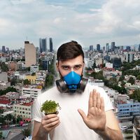 La CDMX creció tanto que ahora enfrenta más calor, menos agua y menos áreas verdes