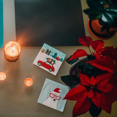 Lidl vende la planta más buscada de la Navidad: decora, es fácil de cuidar y cuesta menos que un café