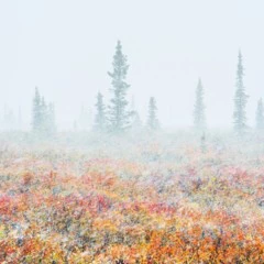 Foto 3 de 9 de la galería paisaje en Xataka Foto