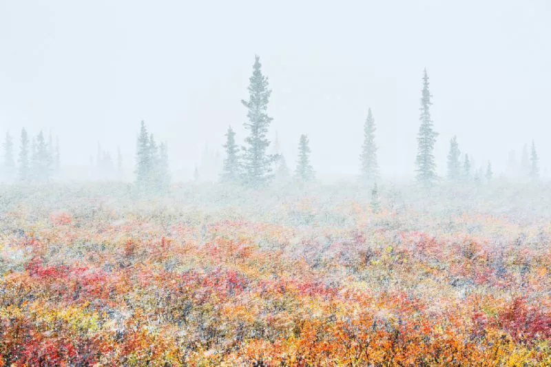 Foto de Paisaje (3/9)