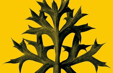 ordesa