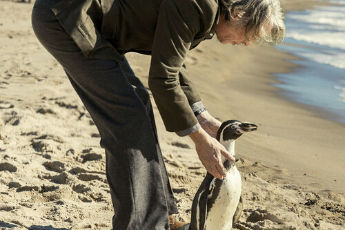 'Lo que aprendí de mi pingüino' mezcla historia, cuquismo y antifascismo. El riesgo de la mezcla no le funciona del todo, pero al menos trata de romper con lo esperado 