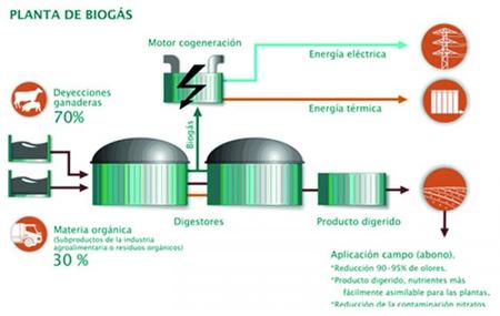 Planta de biogás