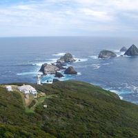 Vivir seis meses en una isla de Tasmania, pues eso sí que es una experiencia 