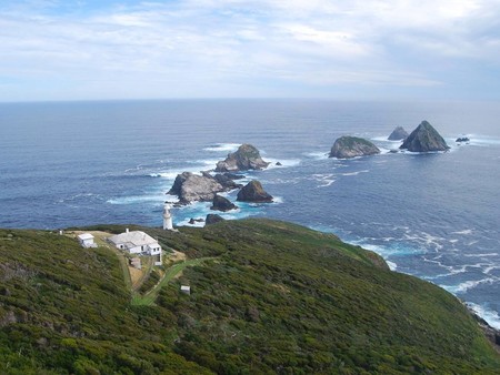 Vivir seis meses en una isla de Tasmania, pues eso sí que es una experiencia