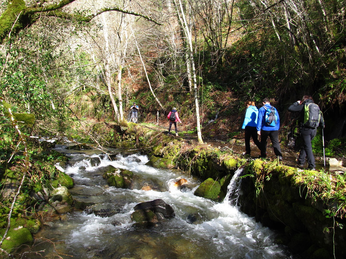 Citas para fotografiar el otoño: el bosque de Muniellos en Asturias