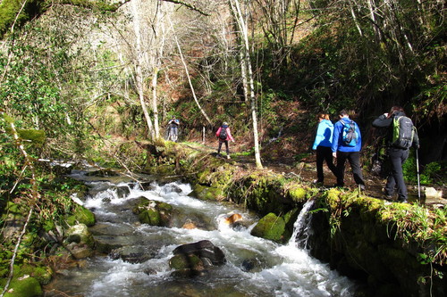 Citas para fotografiar el otoño: el bosque de Muniellos en Asturias
