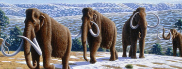 La recuperación del mamut es el buque insignia de una empresa estadounidense. Ahora acaba de dar un paso importante
