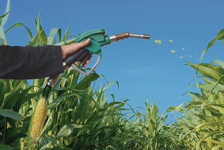 La producción de biodiesel en España se hunde