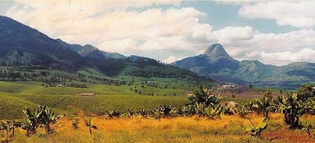 Compañeros de ruta: escribir un libro de viajes, fotografiar nuestros viajes y otras cosas