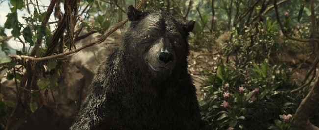 Baloo