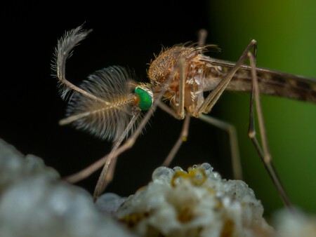 Malaria Bill Gates 1