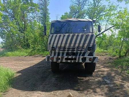 Zebra 3