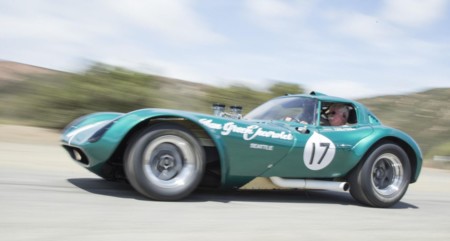 Cheetah Alan Green 5